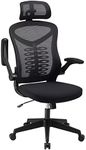 Magic Life Ergonomic Office Chair Computer Chair with Adjustable Headrest/Lumbar Support, High Back 3D Armrests Home Mesh Chair(Black)