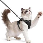 rabbitgoo Cat Harness and Lead Set,