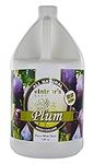 Vintners Best Fruit Wine Base-Plum 