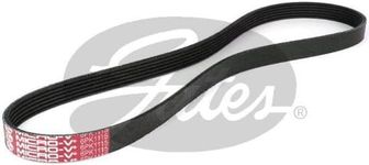 Gates 6PK1115 Micro-V Ribbed Drive Belt, 1115 mm Length