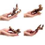 YZHZOM 10pcs Natural Small Spiderwood Driftwood for Aquarium Decor Aquarium Driftwood Freshwater Reptile Driftwood Aquarium spiderwood (spiderwood 5-6inch 10pcs)