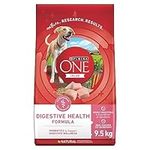 Purina ONE +Plus Dry Dog Food, Digestive Health with Chicken - 9.5 kg Bag