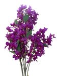 Indus Decor Artificial Bougainvillea Sticks - Set of 2 | Home & Office Décor, Wedding Centerpiece (42 inches) (Purple)