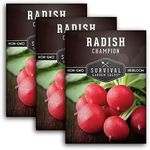 Survival Garden Seeds - Champion Radish Seed for Planting - 3 Packets with Instructions to Plant & Grow Red Radishes in Your Home Vegetable Garden - Non-GMO Heirloom Variety Vegetable Seed