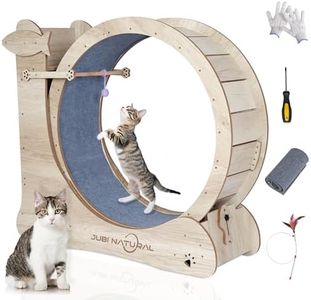 Cat Exerci