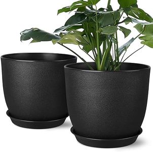 Plant Pots