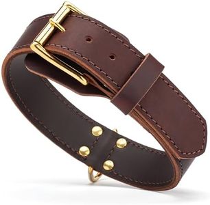 Viper Heavy Duty Leather Dog Collar – Adjustable, Durable & Comfortable | Solid Brass Hardware & Fur Protection Plate for Training & Everyday Use