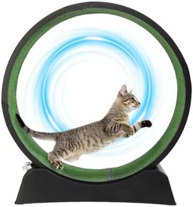 VINGLI Cat