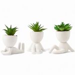 LUNIER Seated Succulent Set (Set of 3) | Ceramic House Plant Pots With Artificial Succulent Plants – Cute Mini Fake Plants In Small Decorative Faux Pot For Indoor Home Décor, Office Desk, Windowsill