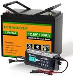 ECO-WORTHY 12V 100AH LiFePO4 Lithiu