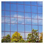 BDF EXS15 Exterior Window Film Daytime Privacy and Sun Control Silver 15 (Dark) - 24in X 14ft