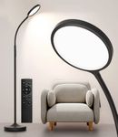 Floor Lamp With Adjustable