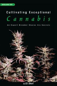 Cultivating Exceptional Cannabis: An Expert Breeder Shares His Secrets (Marijuana Tips Series)