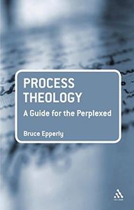 Process Theology: A Guide for the Perplexed (Guides for the Perplexed)