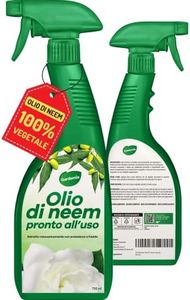 Gardemia O