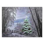 BANBERRY DESIGNS Winter Scene Wall Art - Light Up Picture with Cardinals and Christmas Trees - Snowy Day in The Woods