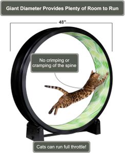 One Fast Cat Exercise Wheel 48" – Black Indoor Cat Treadmill