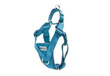 RC Pets Tempo No Pull Dog Harness, Small, Heather Teal