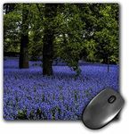 3dRose mp_151892_1 8" x 8" Field of Blue Bells Mouse Pad