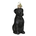 Old World Christmas Black Labrador Dog Collection Glass Blown Ornaments for Christmas Tree