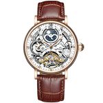 DIOLLO Leather Analog Mechanical Movement Luxury Automatic Men'S Watch (Gold, White)