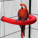 TeTupGa U Shape Parrot Perch Stand Pet Toy Bird Platform Sand Paw Grinding Clean Stick Cage Exercise Conure Budgie Cockatiel Accessories (Red Large)