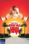 Beverly Hills Ninja