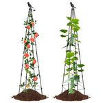 Sturdy Garden Trellis