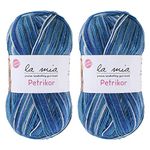 2 Skein La Mia Petrikor Socks Yarn, 75% Wool 25% Polyamide Yarn for Knitting and Crocheting Socks, 100 gr (3.5 oz) / 420 m (459 Yards), Variegated - L10