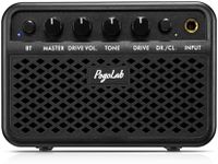 POGOLAB Mini Guitar Amp, 5W Small P