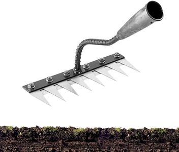2025 Iron