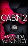 Cabin 2 : Steele Shadows Security Book 2