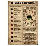 SUPERDANT Witchcraft Knowledge Tin Sign Witch Culture Metal Tin Sign Funny Signs and Plaque Metal Wall Art for Witch Lover Witch Room Divination Room Pagan Gifts 30x20cm