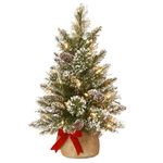 National Tree 2 Foot Glittery Bristle Pine Tree with White Tipped Cones and 15 Battery Operated Warm White LED Lights s in Burlap Base (GB3-392-20-B1)