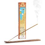 PHOOL LUXURY INCENSE Kashi Vishwanath Incense Sticks I Special Navratri & Gudi Padwa Pack I Chandan Fragrance - Pack Of 40 Agarbatti I 100% Natural I Flowers Offered At Shri Kashi Vishwanath Temple