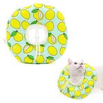 Qpets® Cat Cone Collar Comfy & Soft Stuffed PP Cotton Adjustable Size Machine Washable, After Surgery for Anti-Licking Dog Cone Collar,Surgery Recovery Collar for Pet (S :12-22cm)