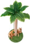 Odoland Cat Scratching Post - Indoor 33 inch Palm Tree Sisal Scratch Posts with Dangling Balls for Kitten and Large Cat - Vertical Scratcher Cute Cat Scratching Post Fun Cat Toy Green