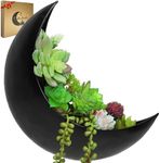 Wall Planter - Window Planter - Hanging Moon Planter - Boho Hanging Planters for Indoor Plants, Succulents, Air Plant, Cactus, Faux, Artificial Plants -Witchy Gifts for Women, Birthdays,Plant Lovers