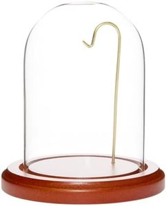 Plymor Brand 3 x 4 Watch/Ornament Glass Display Dome Cloche (Walnut Base & Brass Wire)