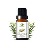 Farm Blends Eucalyptus Essential Oil 100% Undiluted Pure | Steam Inhalation, Cough Relief, Relaxes Muscle, Anti Dandruff, Diffuser | Farm To Home | Natural Nilgiri Oil | Eucalyptus globulus | 10ml