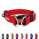 EZYDOG Double Up Dog Collar | Dog Collar Small, Medium, Large Dogs, Reflective Dog Collar, Supreme Comfort, Soft Neoprene Material, Strong Nylon Webbing (X-Large, Red)