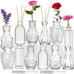 Flower Vase Set of 12 Glass Bud Vases for Flowers Mini Glass Bottles Decorations for Living Room Office Desk Decor for Wedding Planning,Family Party