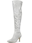 Allegra K Women's Glitter Pointed Toe Stiletto Heels Over the Silver Knee High Boots 8 M US