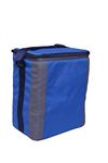 BagsRUs Polyester 12 L Royal Blue Insulated Travel Cooler Bag with Ice Pack