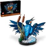 LEGO Icons Kingfisher Bird Model, C