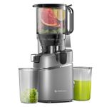 AMZCHEF 5.3 Inch Automatic Juicer Machine, Cold Press Juicer for Whole Fruits and Vegetables, Masticating Juicer with High Juice Yeild, Easy Cleaning, 250 W Silent Motor Extracteur de Jus, Grey