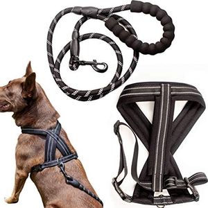 Zenify Pets Dog Harness Leash Set - Chest Vest Cross Adjustable Reflective for Medium Dogs (Black 5ft Medium)…