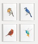 Triple Studio Bird Art Print, Bird Wall Decor, Garden Watercolor Painting, Bird Lover Woodland Birthday Gift, UNFRAMED, Signed by Artist (8x10" Unframed, Set of 4)