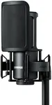 Shure SM4 Studio Recording Micropho