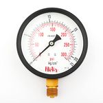 300psi (21 kg) pressure gauge 100mm (4inch) 3/8BSP (300psi (21kg))